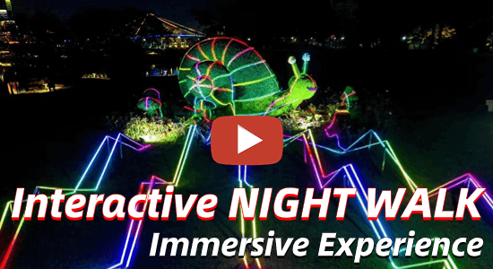 interactive night walk