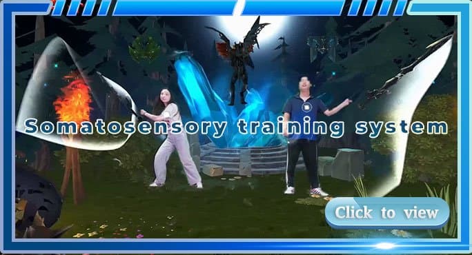 Somatosensory Training System