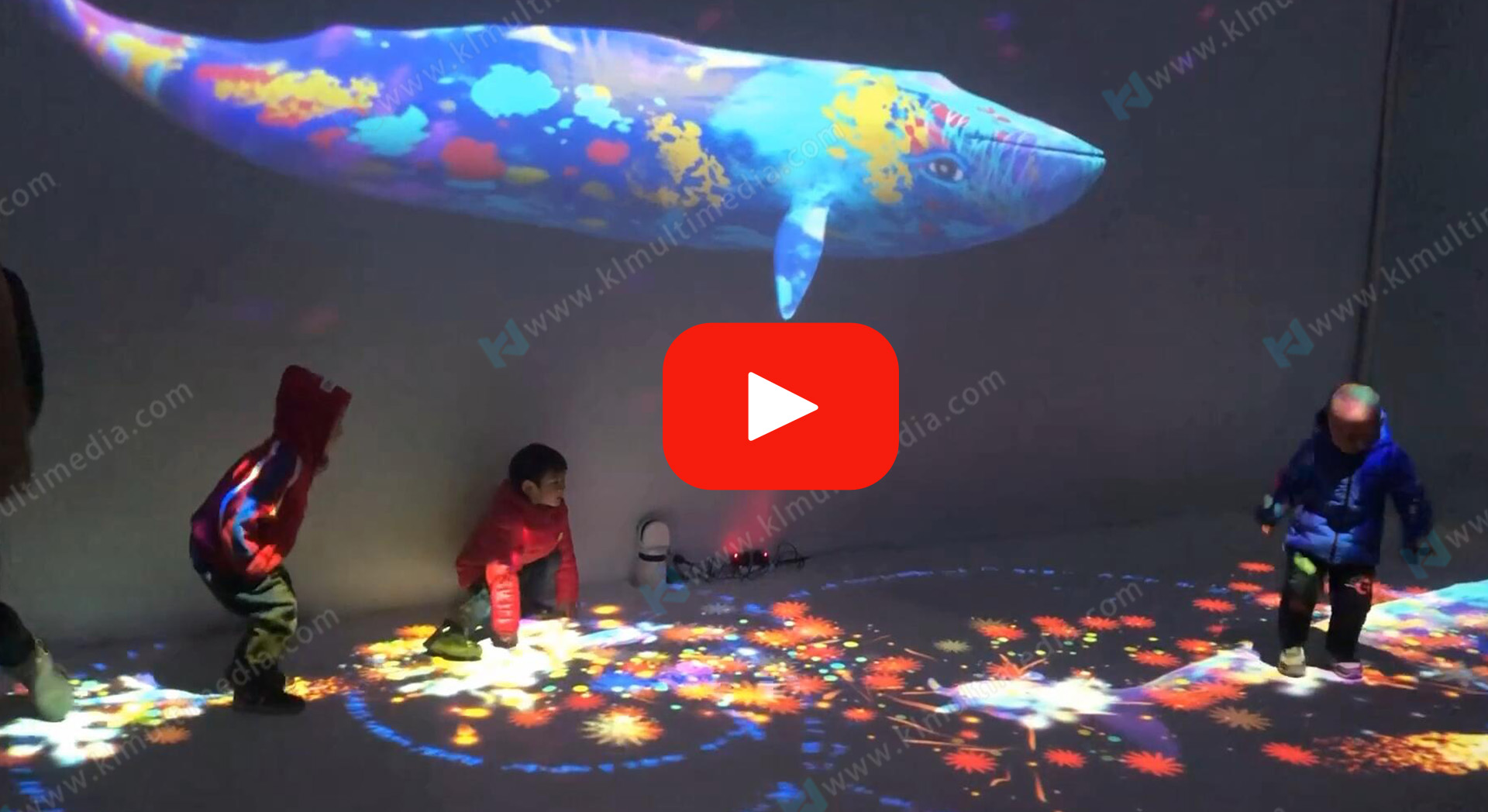 Whale Immersive Exhibition