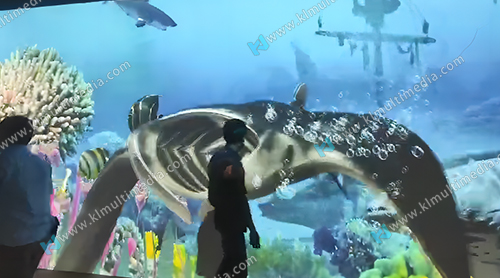 Interactive Aquarium Wall