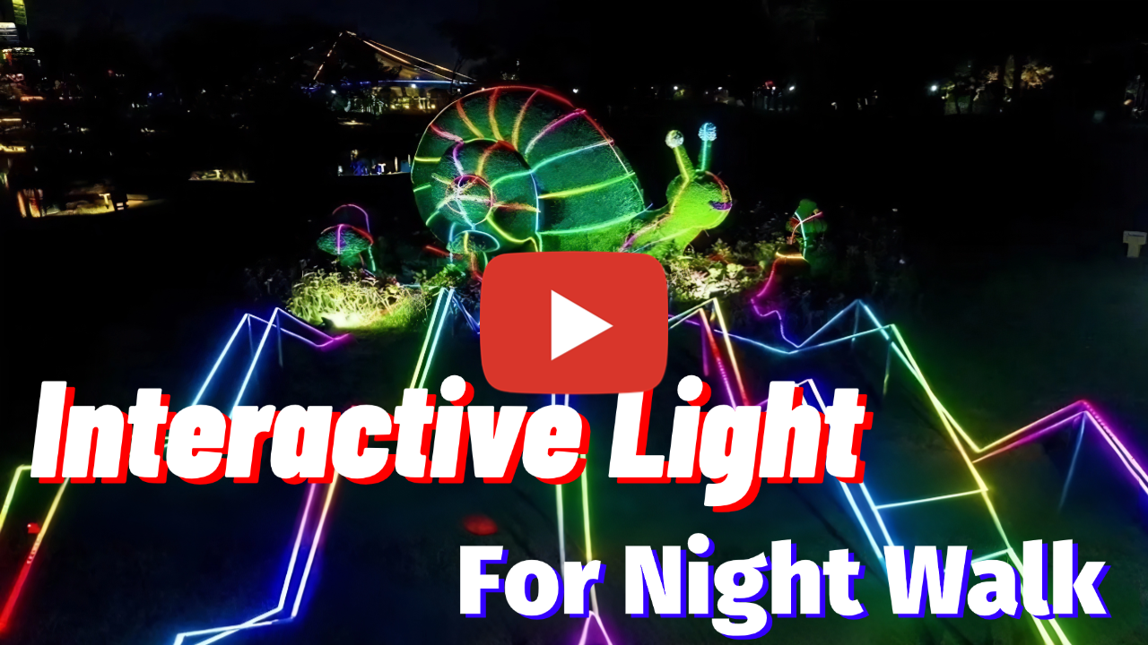 interactive light video