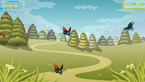 the Insect World