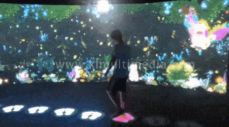 digital interactive installations