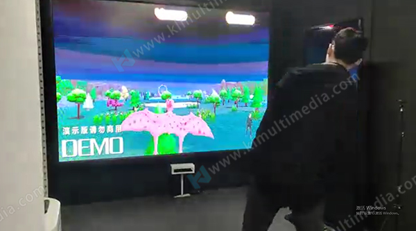 Somatosensory flight