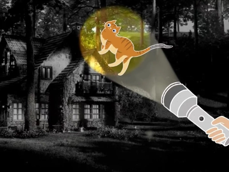 flashlight interact