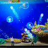 Aquarium Games