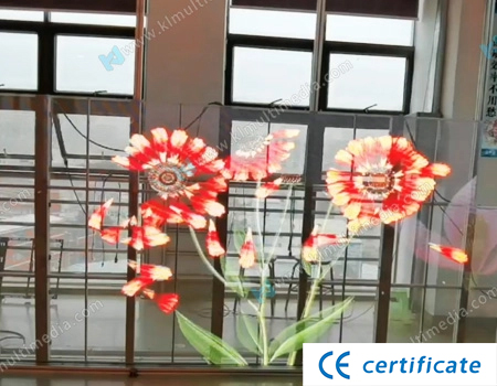 Transparent Display